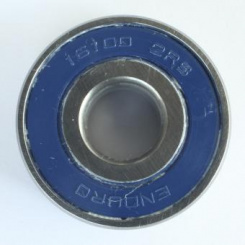 Enduro Bearings 16100 2RS