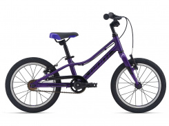 Giant AXR 16" F/W Purple