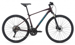 Giant Roam 0 Disc 2021