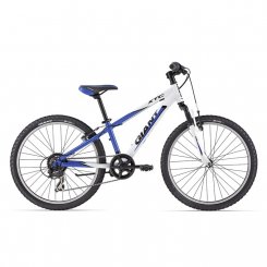 Giant XTC Jr 2 24"