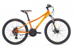 Giant XTC Jr Disk 24"
