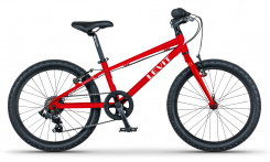 Levit Kogo 20