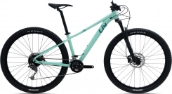 Liv Tempt 29 2 GE (ocean wave)