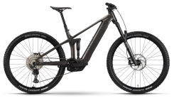 Raymon Korak Pro 29"