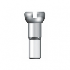 Sapim Brass Nipple silver