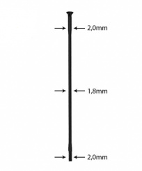 Sapim Race Straight Pull